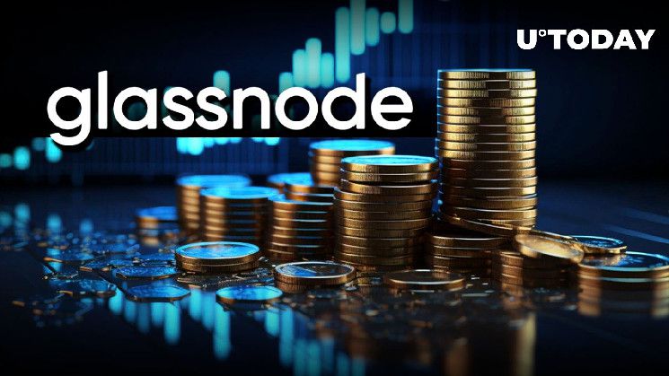 موسم العملات البديلة قد يكون وشيكًا، وفقًا لمؤسسي Glassnode