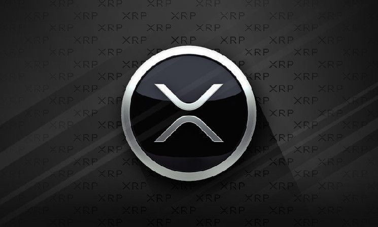 سعر XRP يتجه للأعلى مع زيادة الزخم الصعودي – اكتشف التفاصيل!