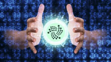 انضمام IOTA EVM إلى نظام ChainPort البيئي، تيسير الجسور الرمزية بدون رسوم