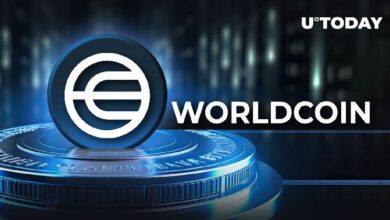 ارتفاع سعر عملة Worldcoin (WLD) بنسبة 10% مع تحديث ضخم - اكتشف المزيد الآن!