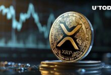 52 مليون XRP في 13 ساعة - اكتشف ما يحدث!