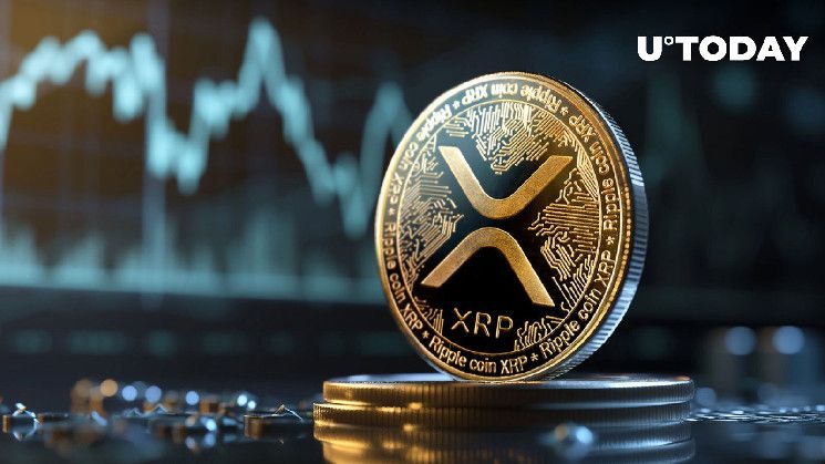 52 مليون XRP في 13 ساعة - اكتشف ما يحدث!