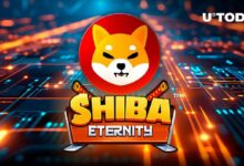 لعبة Shiba Eternity تنطلق في النسخة التجريبية المغلقة: اكتشف التفاصيل