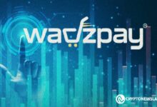 حجم تداول WadzPay (WTK) يقفز بنسبة 148% في يوم واحد، مؤشراً لتوقعات صعودية لإطلاق الإدراج من الفئة الأولى - اكتشف المزيد!