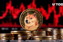 دوجكوين (DOGE) تنخفض بنسبة 92.5٪ في مقياس على السلسلة، اكتشف ما يجري!