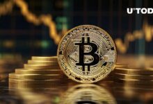 بيتكوين (BTC) إلى 46,400 دولار: لماذا هذا المستوى حاسم؟ تعرف على التفاصيل!