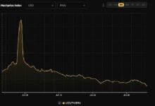 إيرادات تعدين البيتكوين اليومية بالدولار تهبط إلى أدنى مستوى تاريخي