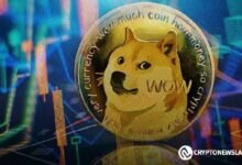 دوجكوين لا تزال وسيلة تبادل شائعة، هل سيرتفع سعر DOGE قريباً؟