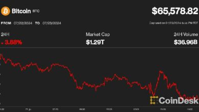 بيتكوين يتراجع إلى 65 ألف دولار مع استلام دائني Mt. Gox لأصولهم على كراكن - تعرف على التفاصيل!