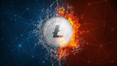 هل يتجه لايتكوين (LTC) للهبوط؟ عمليات البيع تؤدي لأدنى احتياطيات منذ 2011 - اكتشف التفاصيل الآن!