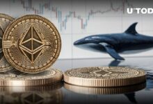 إيثريوم (ETH) يتجنب بيعاً ضخماً من إحدى كبار الحيتان - اكتشف التفاصيل!