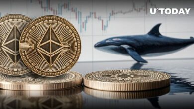 إيثريوم (ETH) يتجنب بيعاً ضخماً من إحدى كبار الحيتان - اكتشف التفاصيل!