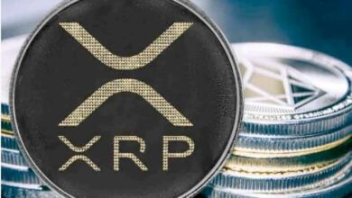 يستعيد XRP دعم $0.5 والمحلل يحدد الهدف السعري التالي للحركات الحادة - اكتشف الآن!