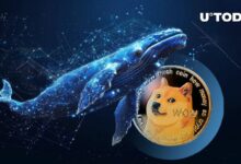 حيتان Dogecoin تنقل 7 مليارات DOGE في 24 ساعة: اكتشف السبب وراء هذا التحرك!