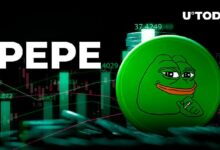 انفجار حجم تداول بيبي (PEPE) بنسبة 62٪، ماذا يحدث؟