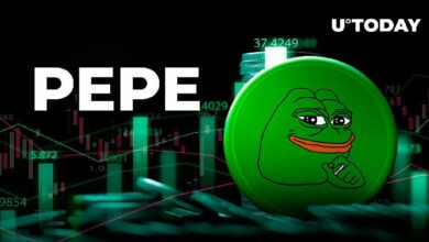 انفجار حجم تداول بيبي (PEPE) بنسبة 62٪، ماذا يحدث؟