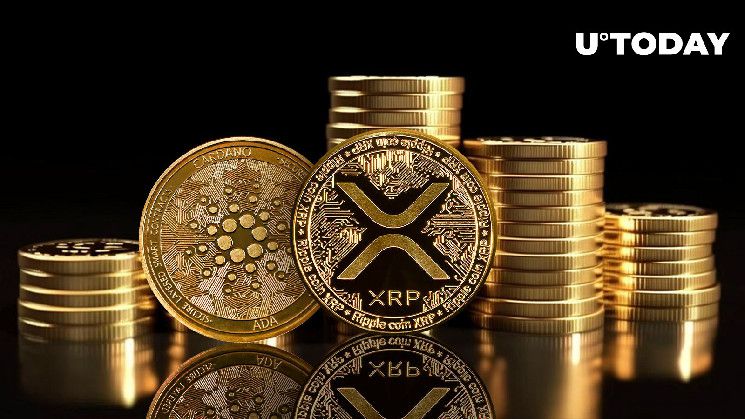 محلل سابق في غولدمان ساكس ينتقد XRP و ADA: "عملات ميم طائفية"