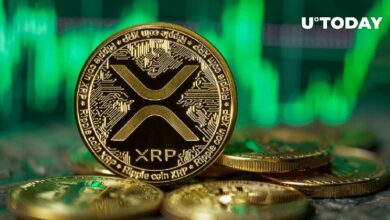 ارتفاع حجم تداول XRP بنسبة 80% مع تحوّل السعر إلى الأخضر