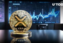 سعر XRP يرتفع 26٪: اكتشف السيناريوهين الرئيسيين القادمين