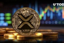 ارتفاع حجم تداول XRP بنسبة 56%، السعر يتبع في انتعاش ملحمي