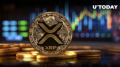 ارتفاع حجم تداول XRP بنسبة 56%، السعر يتبع في انتعاش ملحمي