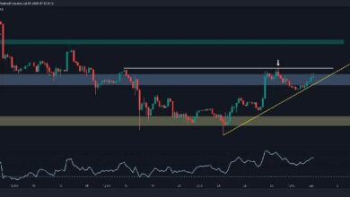 تحليل سعر بولكادوت: DOT ترتفع بنسبة 13% أسبوعياً، لكن هل انتهى الأسوأ فعلاً؟