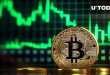 بيتكوين (BTC) سترتفع بنسبة 220٪ وفقًا لنمط "الميكروفون المتفائل"