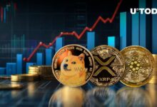 ارتفاع ضخم لعملات DOGE وXRP وADA بناءً على إشارة البيانات – اكتشف التفاصيل