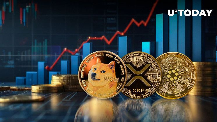 ارتفاع ضخم لعملات DOGE وXRP وADA بناءً على إشارة البيانات – اكتشف التفاصيل