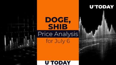 توقعات أسعار DOGE و SHIB ليوم 6 يوليو: اكتشف الآن