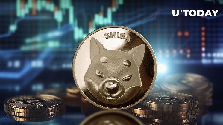 شيبا إينو يرتفع بنسبة 37% في الحجم، هل ستنتعش أسعار SHIB؟