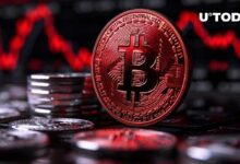 "مجزرة البيتكوين: الأسباب الرئيسية لانهيار BTC - اكتشف الآن"