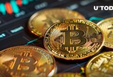 بتكوين (BTC) يسجل زيادة 1141٪ في حجم التداول مع اقتراب سعره من 65,000 دولار – اكتشف المزيد!