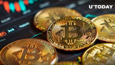 بتكوين (BTC) يسجل زيادة 1141٪ في حجم التداول مع اقتراب سعره من 65,000 دولار – اكتشف المزيد!