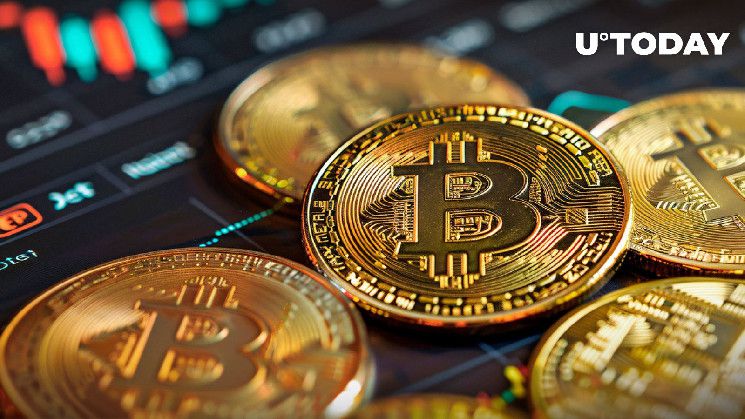 بتكوين (BTC) يسجل زيادة 1141٪ في حجم التداول مع اقتراب سعره من 65,000 دولار – اكتشف المزيد!