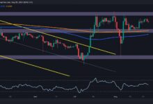 تحليل سعر الريبل: هل يوشك XRP على تصحيح وشيك دون $0.55؟