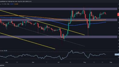 تحليل سعر الريبل: هل يوشك XRP على تصحيح وشيك دون $0.55؟