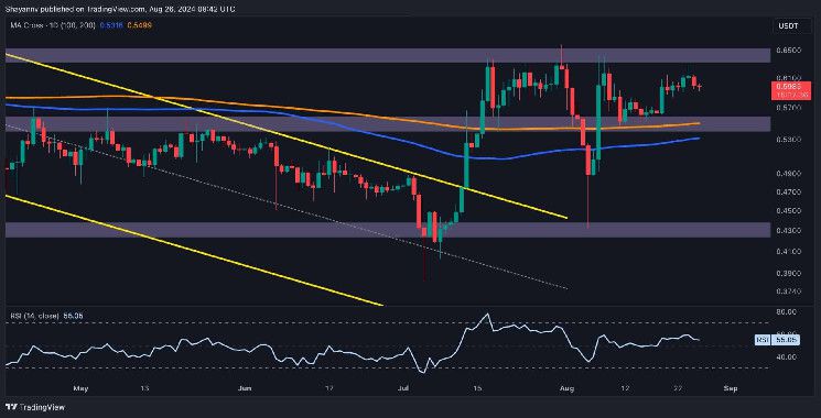 تحليل سعر الريبل: هل يوشك XRP على تصحيح وشيك دون $0.55؟