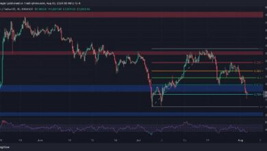 تحليل سعر الإيثريوم: ETH يهبط تحت 3000 دولار فما أدنى مستوى يمكن أن يصل إليه؟