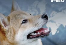 أهم يوم لحاملي Shiba Inu (SHIB) قد وصل - اكتشف الآن!