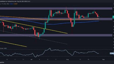 تحليل سعر الريبل: هل ستصمد مستوى الدعم عند $0.55 بعد رفض XRP عند $0.6؟ اقرأ لتحليل الخبراء!