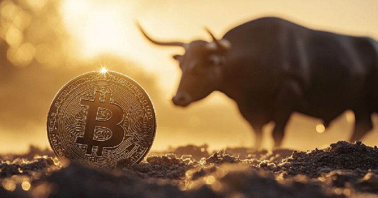 كبير مسؤولي الاستثمار في Bitwise: تصريحات باول قد تطلق موجة ارتفاع جديدة للبيتكوين