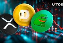 ارتفاع عمليات التصفية إلى 289 مليون دولار يضرب XRP و DOGE و PEPE بشكل خاص - اكتشف المزيد!