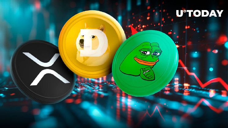 ارتفاع عمليات التصفية إلى 289 مليون دولار يضرب XRP و DOGE و PEPE بشكل خاص - اكتشف المزيد!