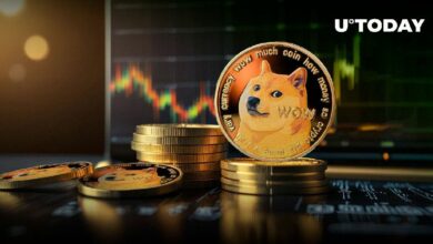 دوجكوين (DOGE) تصل إلى مستوى دعم حاسم - اكتشف التفاصيل!