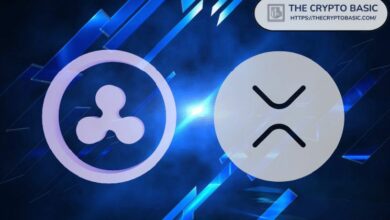 هبوط XRP بنسبة 4٪ مع نقل Ripple لـ200 مليون XRP وتحويل 41 مليون+ إلى Bitso وBitstamp - اكتشف التفاصيل!