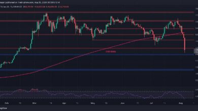 تحليل سعر البيتكوين: راقب هذه المستويات إذا فشل حاجز 50 ألف دولار واستمرت العملة في الانهيار