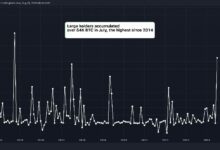 حاملو البيتكوين الكبار أضافوا 5.4 مليار دولار في يوليو - اكتشف المزيد!