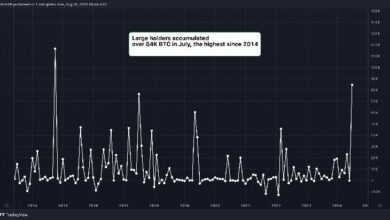 حاملو البيتكوين الكبار أضافوا 5.4 مليار دولار في يوليو - اكتشف المزيد!