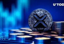 XRP يحصل على فيلم وثائقي خاص به - اكتشف التفاصيل الآن!